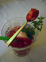 Cocktailvorschlaege